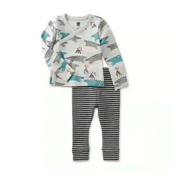 Tea Collection Other - NWT tea collection Dancing Dinosaurs
Wrap Top Set Sz 6-9 months
